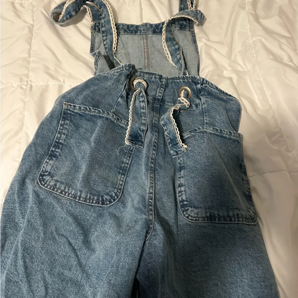 We the Free Sweet Pea Embroidered Overalls - Picture 4 of 5
